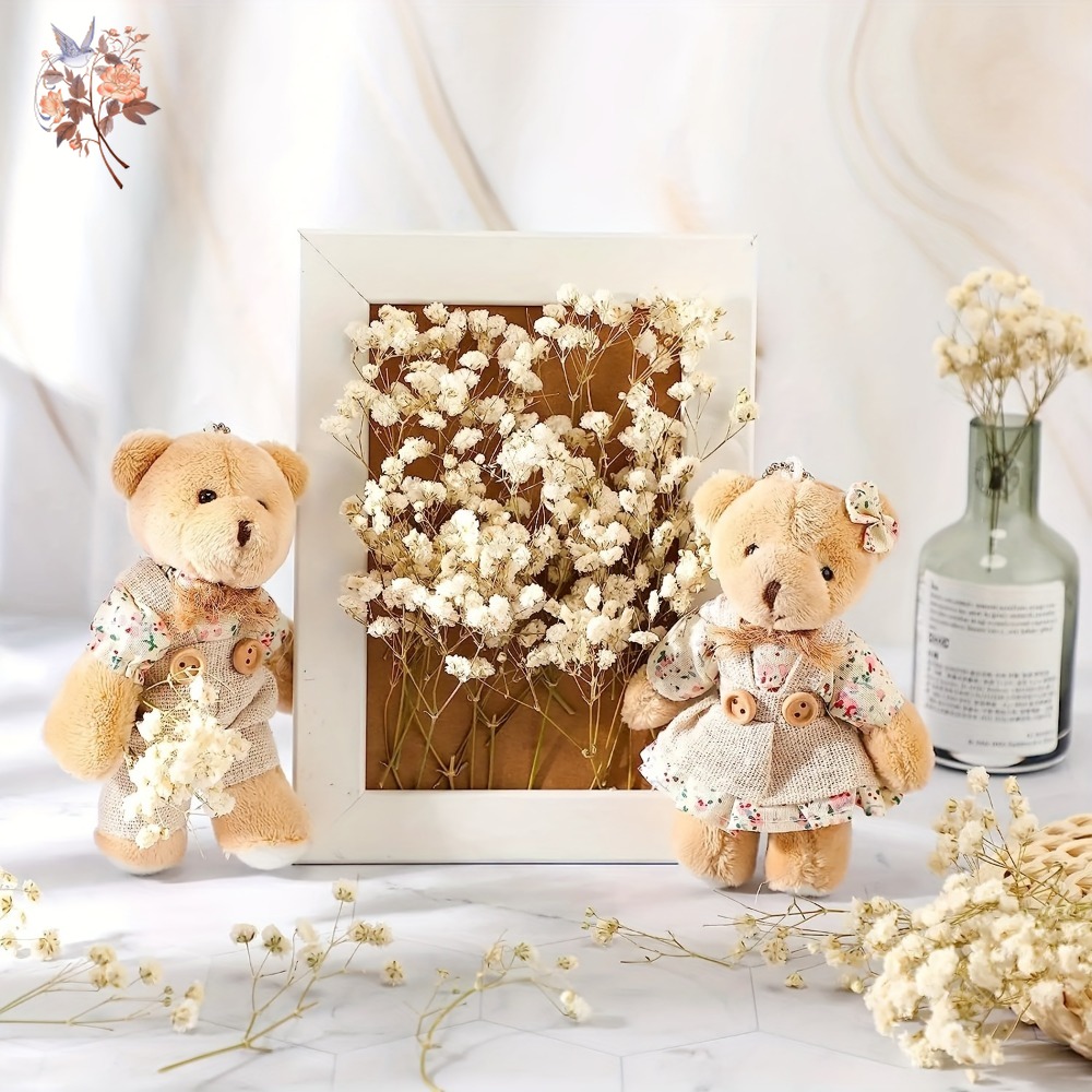 100pcs Mini Dried Baby's Breat - Craft Embellishments ulasan dan harga